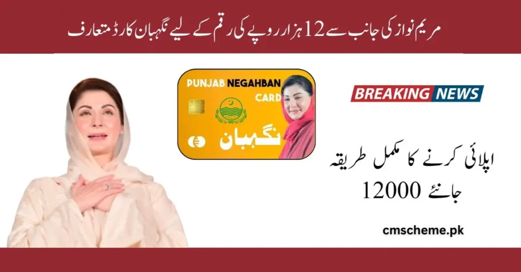 CM Punjab Neghaban Card , Neghanban Program, Neghaban Card