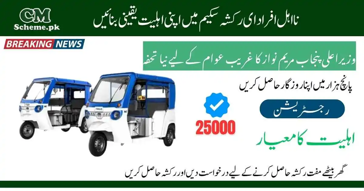 Eco-friendly e-rickshaws lined up as part of the CM Punjab E-Rickshaw Scheme.