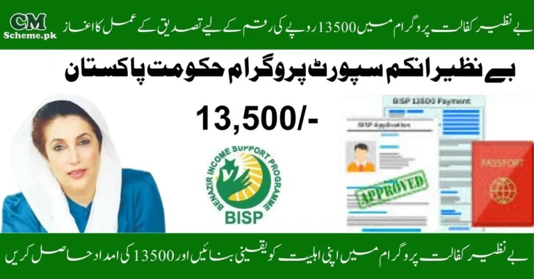 Benazir Income Support Program, Benazir Income Support Program Apply Online, Benazir Income Support Program check payment