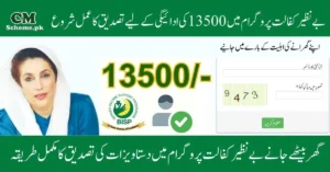 Benazir Kafalat Program Check Eligibility, Benazir Kafalat Program Online Apply, Benazir Kafalat Program 2025