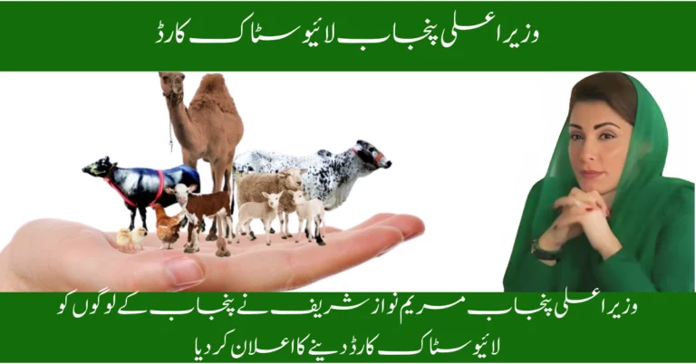 Punjab Livestock Card Scheme 2025