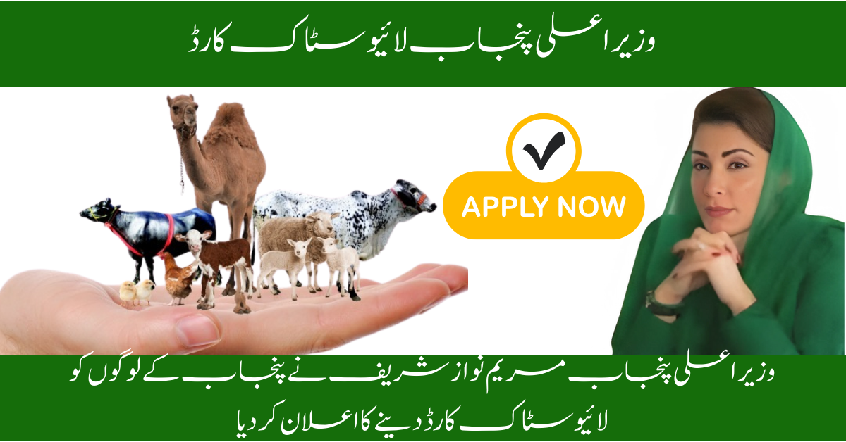 Punjab Chief Minister Livestock Card Scheme