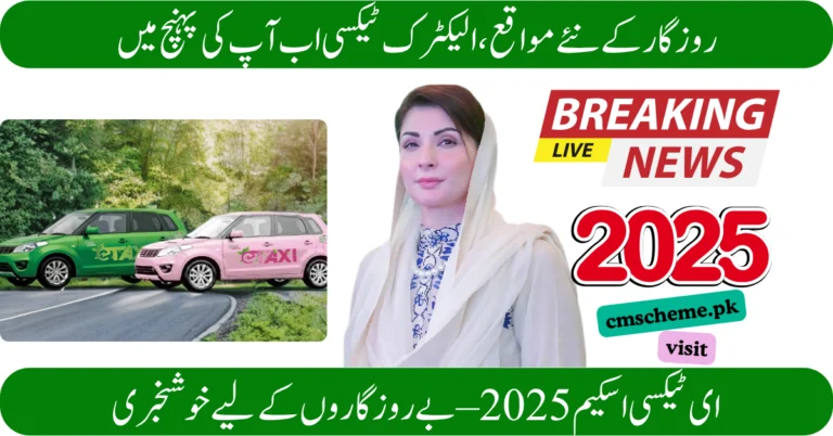 CM Punjab E-Taxi Scheme 2025 Registration Online