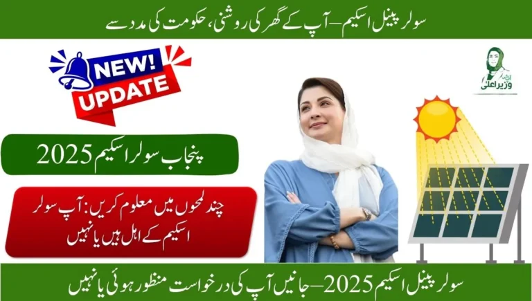 Check CM Punjab Solar Panel application status 2025
